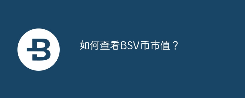 BSV 통화의 시가총액을 확인하는 방법은 무엇입니까?