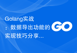 Pertempuran Praktikal Golang: Perkongsian Petua Pelaksanaan untuk Fungsi Eksport Data
