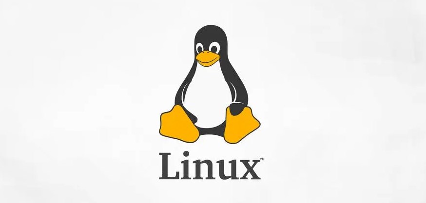 Linux partition expansion tips for adjusting Swap space size