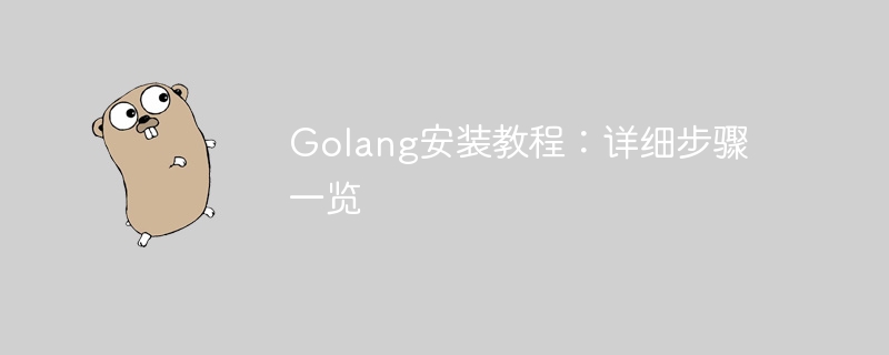 golang安装教程：详细步骤一览