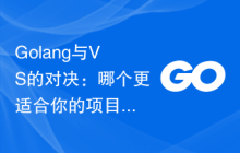 Golang与VS的对决：哪个更适合你的项目？
