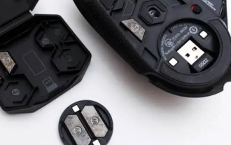 A quoi servent les poids pour souris ?