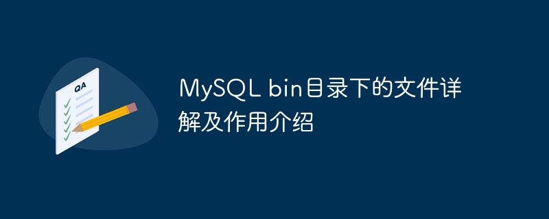 mysql bin目录下的文件详解及作用介绍