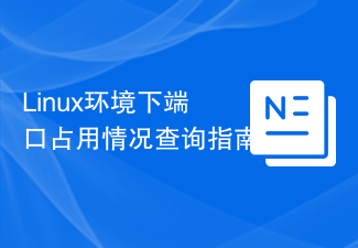 Linux环境下端口占用情况查询指南