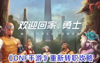 Umstellungsstrategie „DNF Mobile Game'.