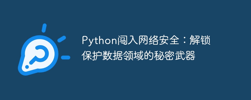 Python闯入网络安全：解锁保护数据领域的秘密武器-Python教程-