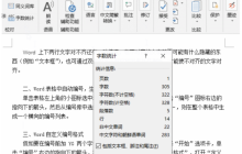 word怎么看字数？word看字数的方法