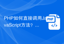 PHP如何直接调用JavaScript方法？