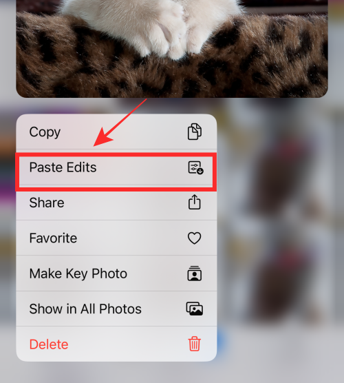 How to copy edits in the Photos app on iPhone