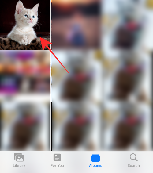 So kopieren Sie Änderungen in der Fotos-App auf dem iPhone