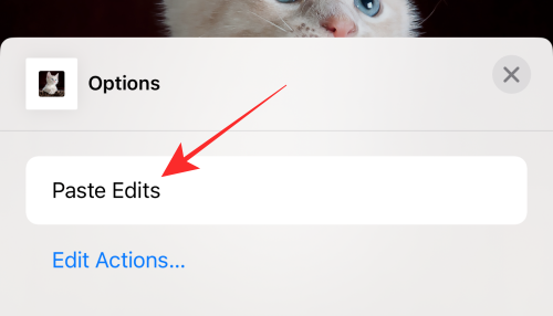 How to copy edits in the Photos app on iPhone