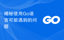 揭秘使用Go语言可能遇到的问题
