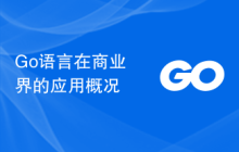 Go语言在商业界的应用概况