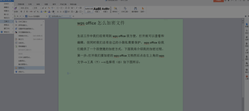 wps office如何加密文件-wps office加密文件的方法