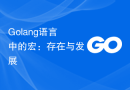 Golang语言中的宏：存在与发展