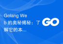 Golang Web 的奥秘揭秘：了解它的本质