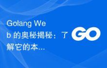 Golang Web 的奥秘揭秘:了解它的本质
