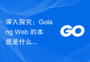 深入探究：Golang Web 的本质是什么？