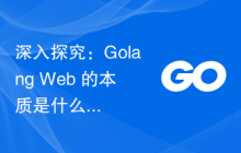 深入探究:Golang Web 的本质是什么?