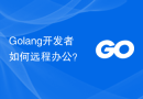 Golang开发者如何远程办公？
