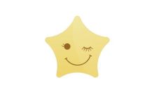 星愿浏览器如何下载视频插件