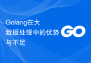 Golang在大数据处理中的优势与不足