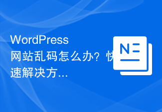 WordPress網站亂碼怎麼辦？快速解決方案