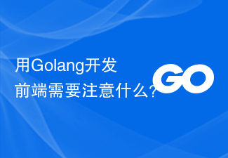 用Golang开发前端需要注意什么？