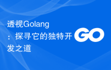 透视Golang:探寻它的独特开发之道