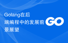 Golang在后端编程中的发展前景展望