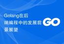 Golang在后端编程中的发展前景展望