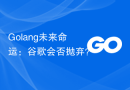 Golang未来命运：谷歌会否抛弃？