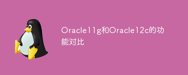 Oracle11gとOracle12cの機能比較