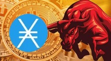 XNO币怎么样？一文了解XNO币特点