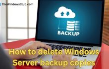如何删除Windows服务器备份副本
