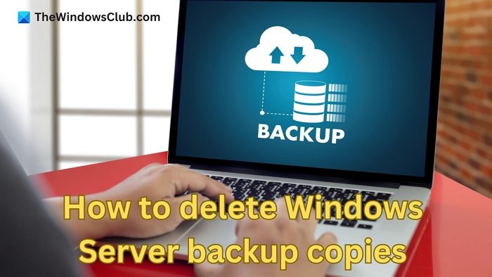 How to delete Windows server backup copies