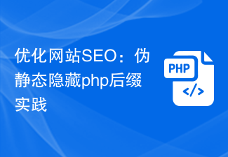 웹 사이트 SEO 최적화: PHP 접미사를 숨기는 유사 정적 숨기기 실습
