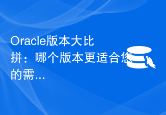 Oracle版本大比拼：哪個版本比較適合您的需求？