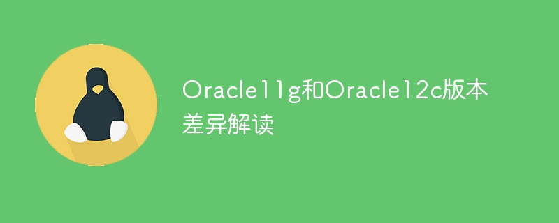 Interpretation der Unterschiede zwischen den Versionen Oracle11g und Oracle12c