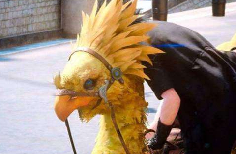 What is the name of Chocobo in Final Fantasy 15?