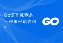 Go语言究竟是一种编程语言吗？