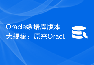 Oracle数据库版本大揭秘:原来Oracle有这么多版本!