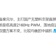 消息称 iQOO Neo9 系列新机配备 6.78 英寸 1.5K 直屏，已完成备案