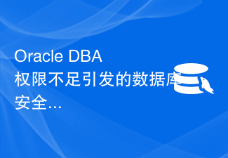 Database security risks caused by insufficient Oracle DBA authority