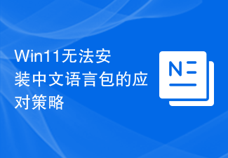 Win11无法安装中文语言包的应对策略