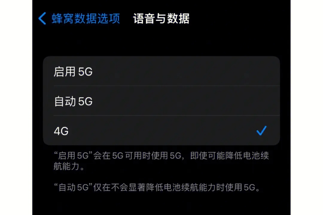 蘋果手機4g和5g怎麼切換