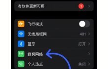 苹果手机4g和5g怎么切换