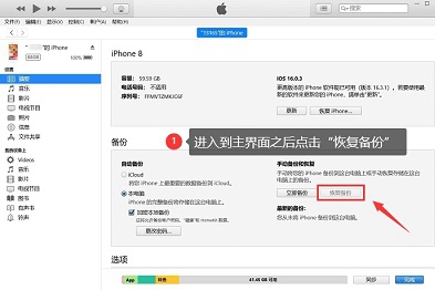 Apple携帯電話で削除されたテキストメッセージを復元する方法