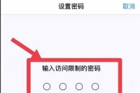 苹果手机应用锁怎么设置