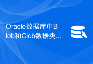 Oracle 데이터베이스의 Blob 및 Clob 데이터 유형의 차이점, 장점 및 단점 분석
